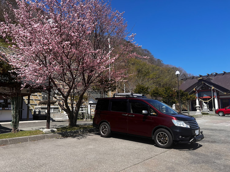 ステップワゴンスパーダのファミリーカーです・JAOS・アゲ系・全塗装・サクラと愛車に関するカスタム事例の投稿画像2枚目