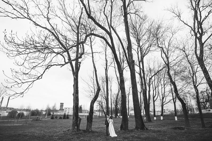 Photographe de mariage Andrey Denisko (andreidenisko). Photo du 15 juin 2017