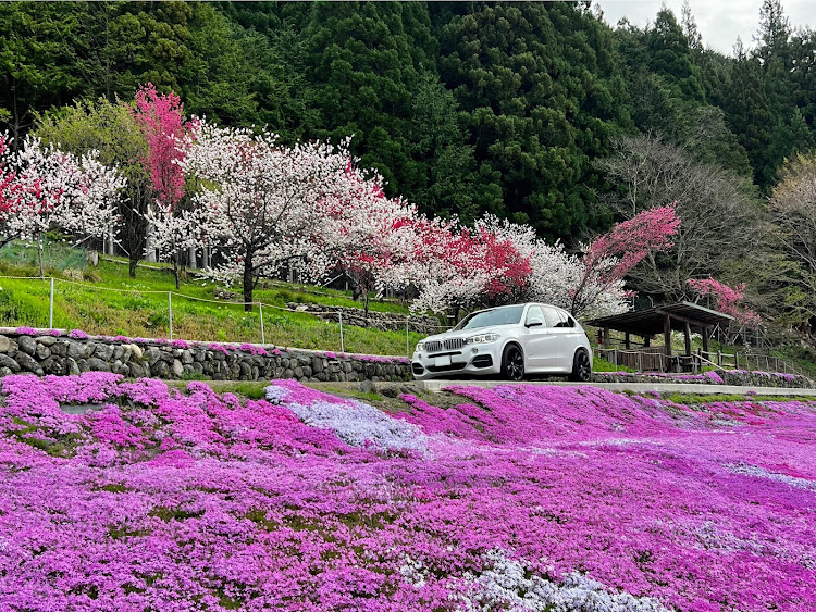 の投稿画像1枚目