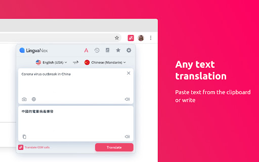 Lingvanex translator and dictionary. Voice