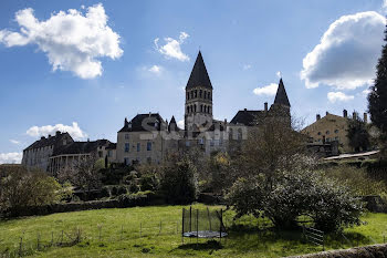 locaux professionnels à Tournus (71)