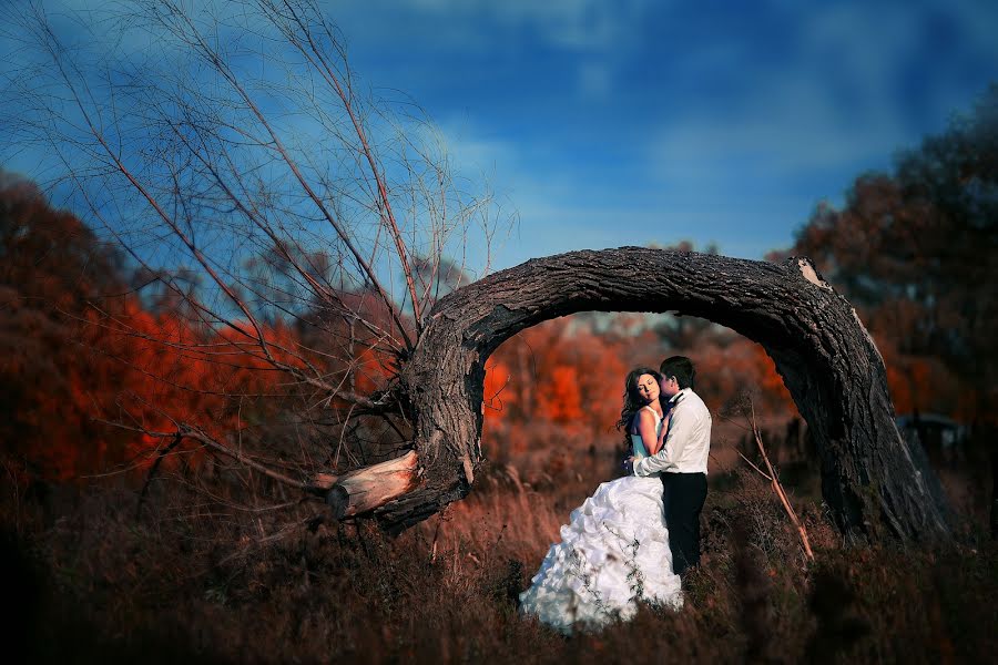 Fotografer pernikahan Aleksandr Bystrov (alexfoto). Foto tanggal 14 Maret 2016