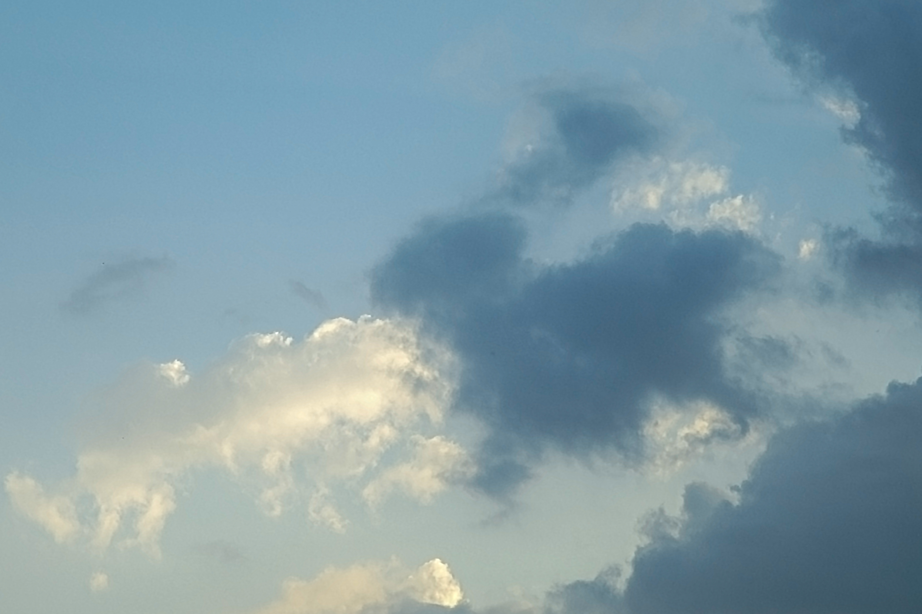 Cielo d'Europa di acquario