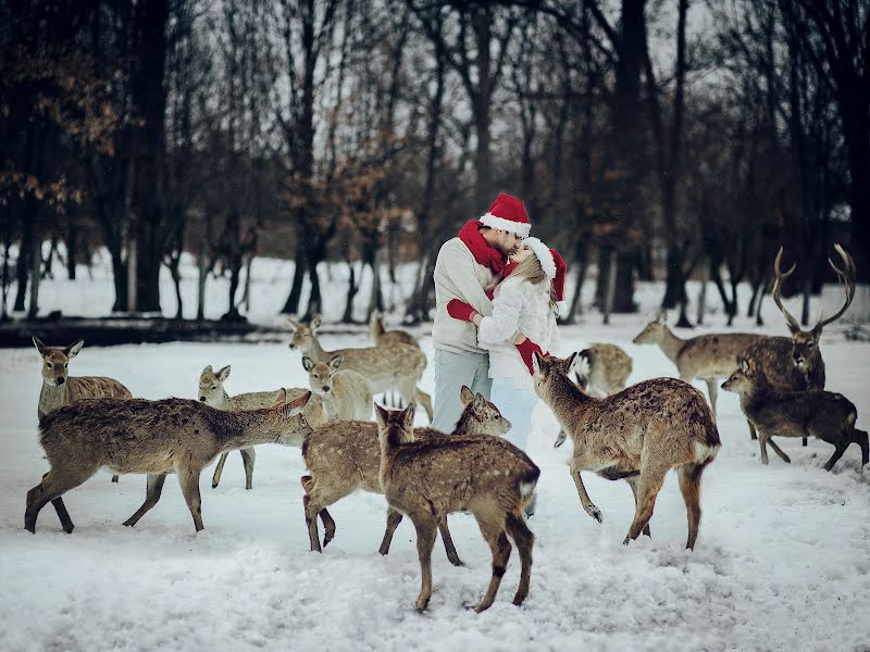 Kāzu fotogrāfs Oleksandr Ladanivskiy (ladanivskyy). Fotogrāfija: 29. decembris 2017