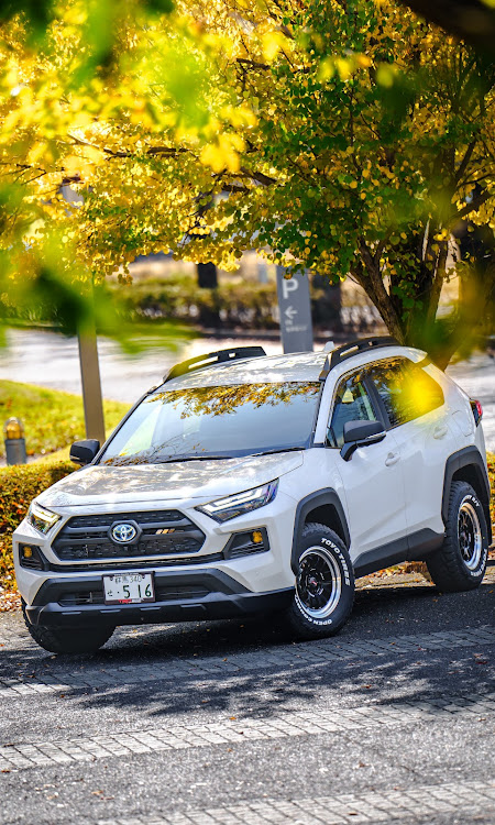 RAV4のA・LAP 07X・オープンカントリーRT・Taco Vinyl・Diode Dynamics・RAYSに関するカスタム事例の投稿画像9枚目