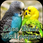 Love Birds Wallpapers Apk