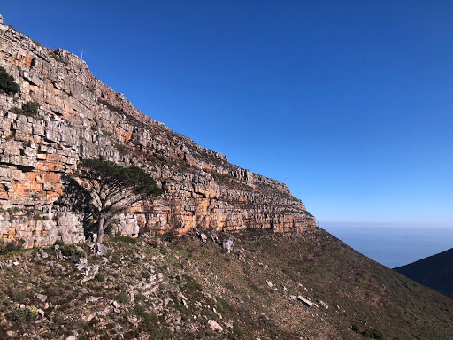 Table Mountain Cape Town South Africa 2018