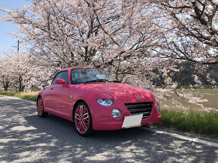 コペンの桜とコラボ🌸に関するカスタム事例の投稿画像1枚目