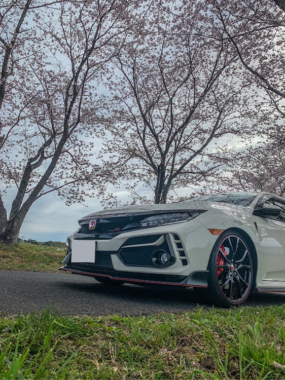 シビックタイプRのFK8・桜とコラボ🌸・サクラと愛車に関するカスタム事例の投稿画像3枚目
