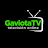 Gaviota Tv Online icon