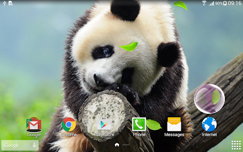 download Cute Panda Live Wallpaper free