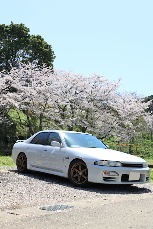 フェアレディZ ロードスターのサクラと愛車・桜とコラボ・Z33・お花見チャーツーに関するカスタム事例の投稿画像9枚目
