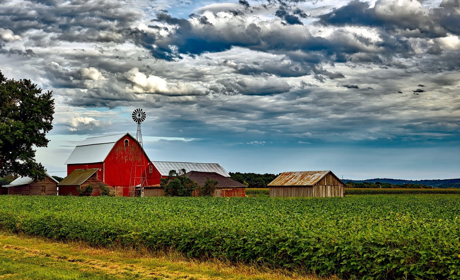 How much land do you need? (free calculator) - Permaculture Apprentice