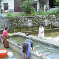 IL MONDO SFOCATO DELLE LAVANDAIE di 