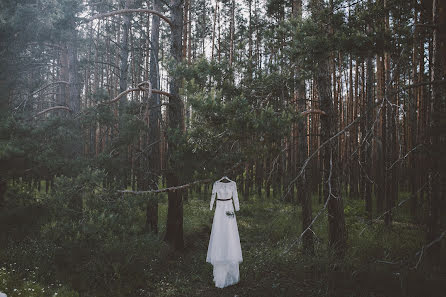 Fotógrafo de casamento Aleksandr Khalabuzar (a-kh). Foto de 13 de junho 2016