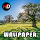 Download Beautiful Nature Wallpapers HD For PC Windows and Mac 1.0.4