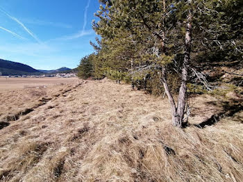 terrain à Caille (06)