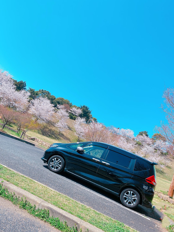 フリード+の桜桜桜・誰もいない時が最高・洗車嫌い←・フリード君乗り心地良きに関するカスタム事例の投稿画像1枚目