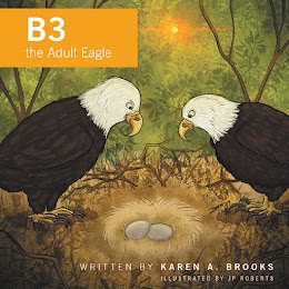 B3 the Adult Eagle cover