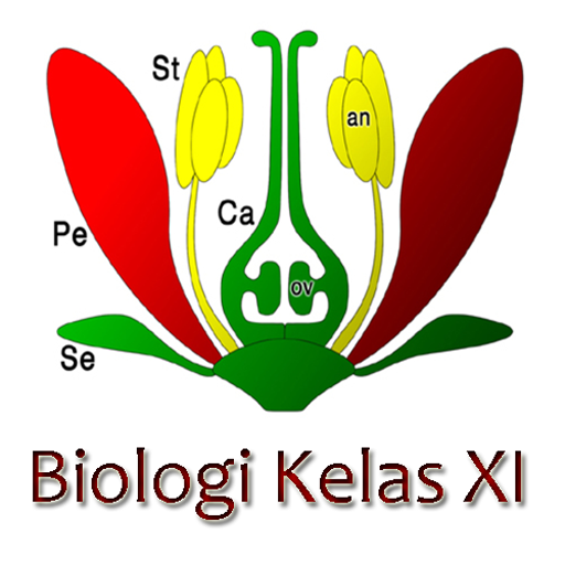 Biologi Kelas XI