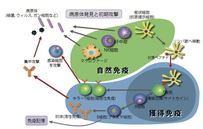 の投稿画像4枚目