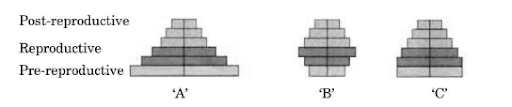 Ecological / Eltonian pyramids, Ecological efficiencies