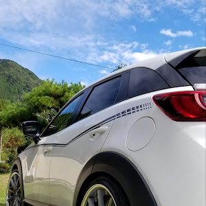 CX-3 DKEFW