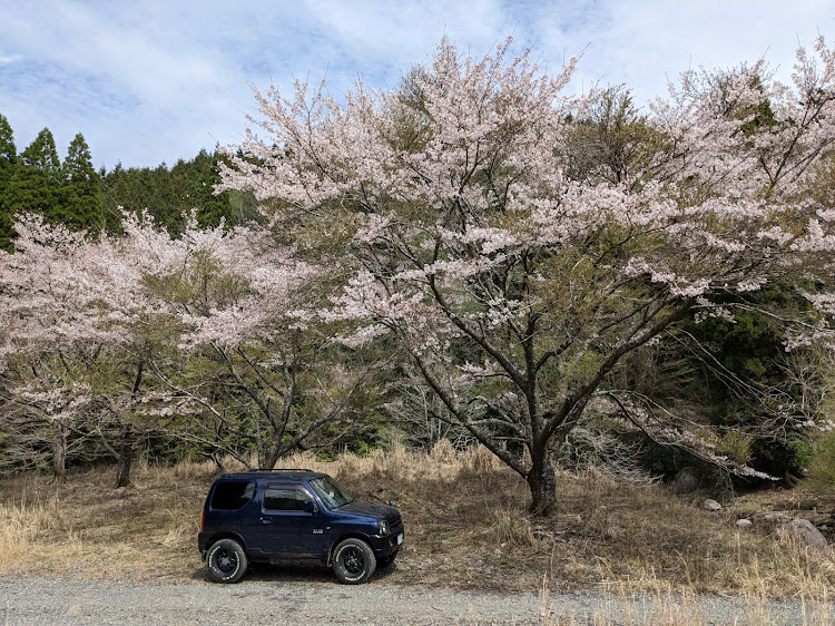 の投稿画像2枚目