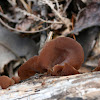 Wood Ear