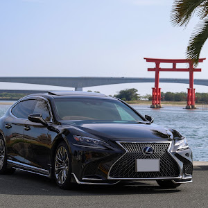 LS GVF55