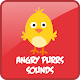 Download Angry Purrs Sounds For PC Windows and Mac 1.0