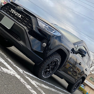 RAV4 AXAH52