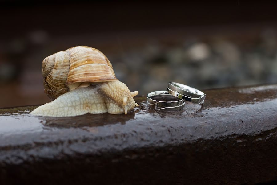 Wedding photographer Aleš Povondra (povondraales). Photo of 28 February 2019