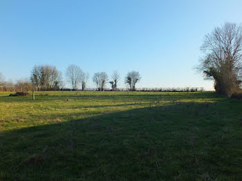 terrain à Musigny (21)