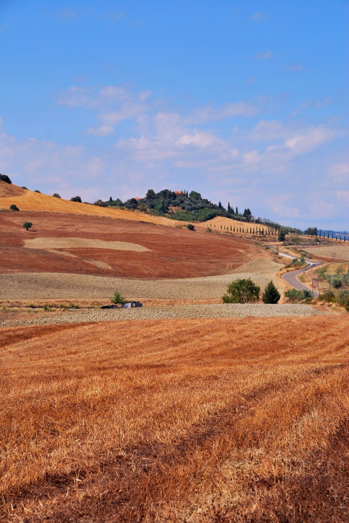 Road to Nowhere di FrancescoTheDoc