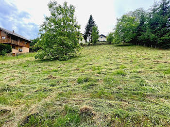 terrain à Neuviller-la-Roche (67)