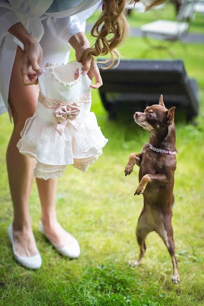 Wedding photographer Katerina Avramenko (iznanka). Photo of 6 January 2014