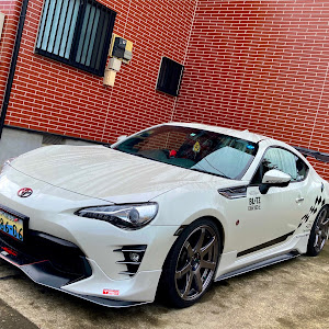 86 ZN6