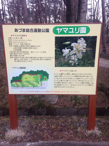 あづま総合運動公園ヤマユリ園