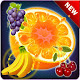 FRUIT BLAST JOURNEY icon