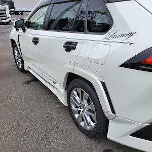 RAV4 MXAA54