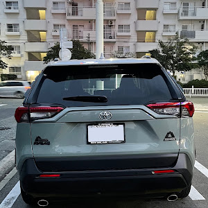 RAV4 MXAA54