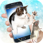 Cover Image of ดาวน์โหลด Cat Catch The Mice Mouse On Screen Joke 1.2 APK