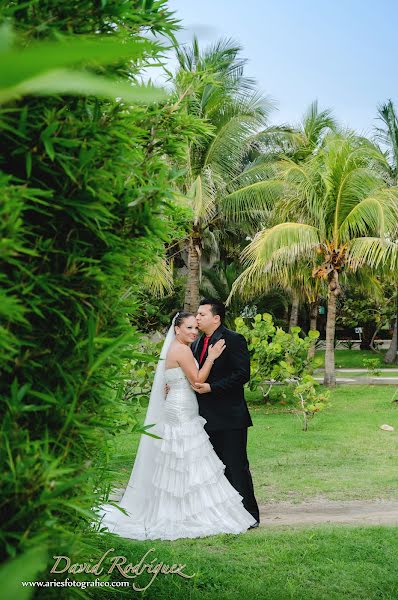 Fotógrafo de bodas David Rodriguez (davidrodriguez). Foto del 8 de mayo 2015