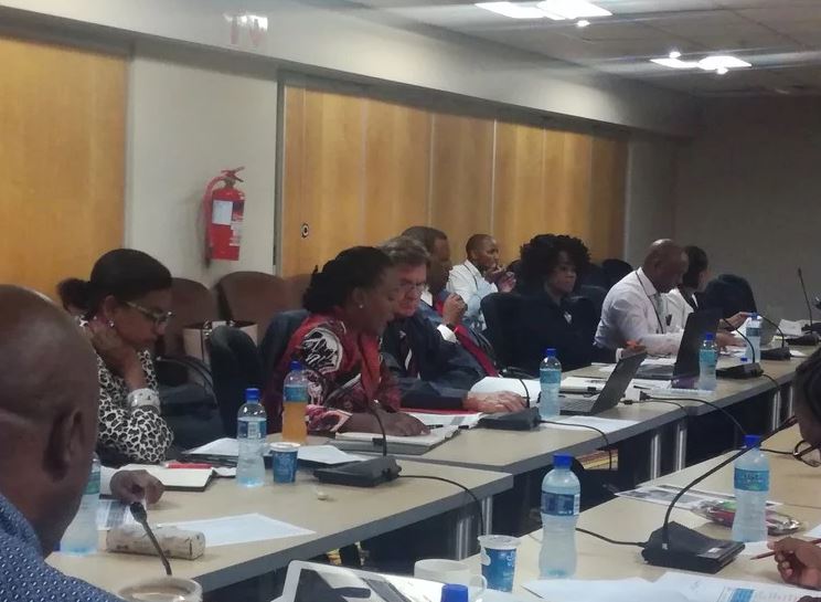 Lindiwe Kwele (centre), group chief operating officer at the post office, addresses MPs on Tuesday.