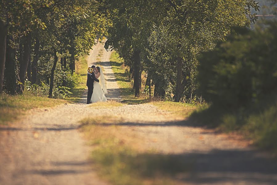 Wedding photographer Luca Fumero (fumero). Photo of 14 February 2014