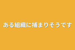 ある組織に捕まりそうです