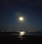 Ocean moon