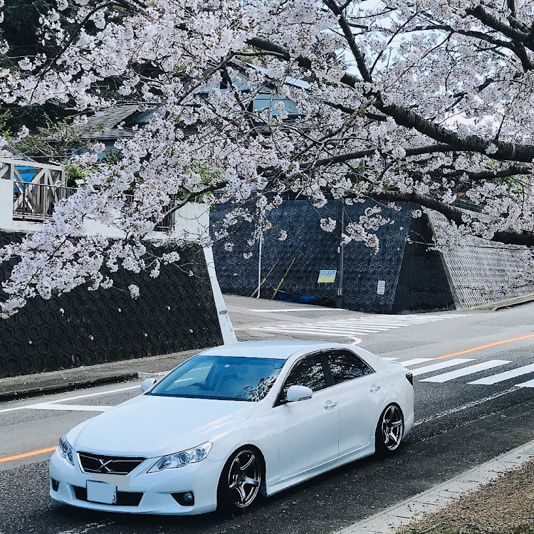 マークXの桜と愛車・t5r・T5R2P・iPhone7に関するカスタム事例の投稿画像3枚目
