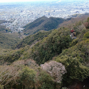 タイプⅠ　ビートル